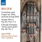 OUTHERE Josef Still - Reger: Organ Works Volume 9 (CD)