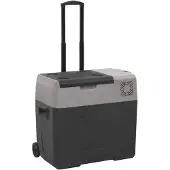 vidaXL Koelbox met wielen en handvat 30 L polypropeen zwart en grijs