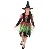 Boland kinderkostuum Fairy Witch meisjes jaar