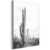 MuchoWow Wanddecoratie Metaal - Aluminium Schilderij Industrieel - Cactus - Zwart wit - Natuur - Planten - 60x80 cm - Dibond - Foto op aluminium - Industriële muurdecoratie - Voor de woonkamer/slaapkamer