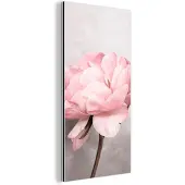 MuchoWow Wanddecoratie Metaal - Aluminium Schilderij Industrieel - Bloemen - Roze - Natuur - Plant - 20x40 cm - Dibond - Foto op aluminium - Industriële muurdecoratie - Voor de woonkamer/slaapkamer