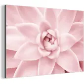 MuchoWow Wanddecoratie Metaal - Aluminium Schilderij Industrieel - Bloem - Roze - Natuur - Plant - 60x40 cm - Dibond - Foto op aluminium - Industriële muurdecoratie - Voor de woonkamer/slaapkamer