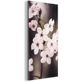 MuchoWow Wanddecoratie Metaal - Aluminium Schilderij Industrieel - Bloemen - Wit - Natuur - Plant - Bloesem - 40x80 cm - Dibond - Foto op aluminium - Industriële muurdecoratie - Voor de woonkamer/slaapkamer