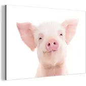 MuchoWow Wanddecoratie Metaal - Aluminium Schilderij Industrieel - Varken - Roze - Dieren - Natuur - 180x120 cm - Dibond - Foto op aluminium - Industriële muurdecoratie - Voor de woonkamer/slaapkamer