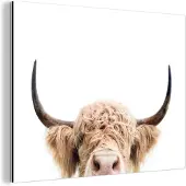 MuchoWow Wanddecoratie Metaal - Aluminium Schilderij Industrieel - Koe - Hoorns - Dieren - Natuur - 120x90 cm - Dibond - Foto op aluminium - Industriële muurdecoratie - Voor de woonkamer/slaapkamer