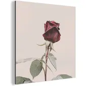 MuchoWow Wanddecoratie Metaal - Aluminium Schilderij Industrieel - Bloemen - Rood - Rozen - Groen - 90x90 cm - Dibond - Foto op aluminium - Industriële muurdecoratie - Voor de woonkamer/slaapkamer