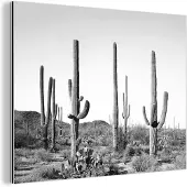 MuchoWow Wanddecoratie Metaal - Aluminium Schilderij Industrieel - Cactussen - Zwart wit - Natuur - Landschap - 40x30 cm - Dibond - Foto op aluminium - Industriële muurdecoratie - Voor de woonkamer/slaapkamer