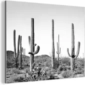 MuchoWow Wanddecoratie Metaal - Aluminium Schilderij Industrieel - Cactussen - Zwart wit - Natuur - Landschap - 80x60 cm - Dibond - Foto op aluminium - Industriële muurdecoratie - Voor de woonkamer/slaapkamer