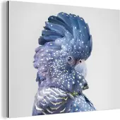 MuchoWow Wanddecoratie Metaal - Aluminium Schilderij Industrieel - Kaketoe - Blauw - Dieren - Natuur - 40x30 cm - Dibond - Foto op aluminium - Industriële muurdecoratie - Voor de woonkamer/slaapkamer