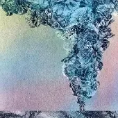 Konkurrent Daughn Gibson - Carnation (LP) (Coloured Vinyl)