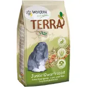 Vadigran Terra Junior & Dwergkonijn
