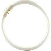 Philips 2GX13 60W 840 Ringvormige tl-lamp Master TL5 2GX13, dimbaar