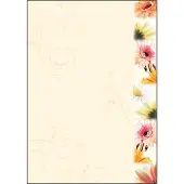 Sigel DP788 Design papier A4 Mat 90 g/m² 21 x 29,7 cm Kleurenassortiment 50 Vellen