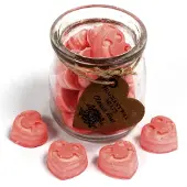 Ancient Wisdom Sojawas Melts Jar - Klassieke Roos