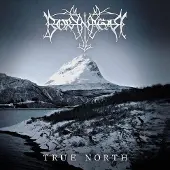 Sony music True North
