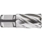 Kippers Rijssen HSS Kernboor SILVER-LINE, weldon 19, ø20x30 - 536.2000W