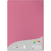 Pollen Papier