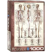 Eurographics Skeletal System Puzzel (1000 stukjes)