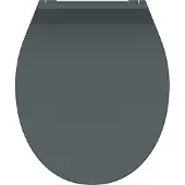 Schutte WC-Bril 82704 SLIM ANTHRAZIT - Duroplast - Super Dun - Soft Close - Afklikbaar - RVS-Scharnieren - Belastbaar tot 175 kg - Gelakt - Antraciet