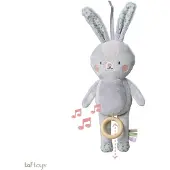 Taf Toys - Muziekknuffel - Rylee Musical Bunny