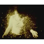 Universal Music Wolf Alice - My Love Is Cool (2 LP)