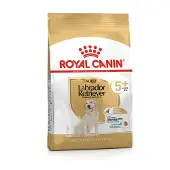 Royal Canin Labrador Retriever Volwassen 5+ 12 kg Voeding