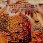 Bis HONEY FROM THE HIVE