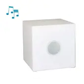 Intergard Tuinverlichting lichtkubus Cube met speaker 20x20x20cm