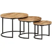 vidaXL Set van 3 salontafels, ruw massief mangohout