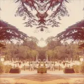 Konkurrent Tom James Scott - Nightshade (LP) (Limited Edition)