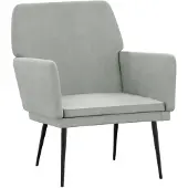 vidaXL Fauteuil 62x79x79 cm fluweel lichtgrijs