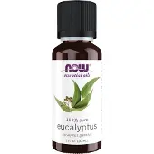 Now Eucalyptusolie Globulus 30 ml