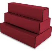 Packlinq Wijnflesdozen 16x8x36cm Bordeaux (50 st.)