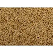 Uniestar Duivengerst 20kg