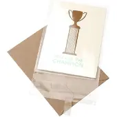 Packlinq Plastic Zakken 9x13cmTransparant en Hersluitbaar (100 stuks) | Plastic zak