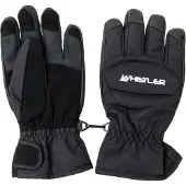 Whistler Fingerhandschuhe Slough Jr.
