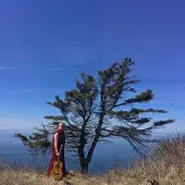 Konkurrent David Morris - Monastic Love Songs (CD)
