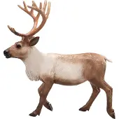 Small Foot wildlife rendier 387186