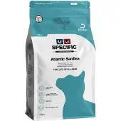 Specific FQD-F Atlantic Sardine | 2 kg