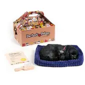 Perfect petzzz Soft labrador zwart