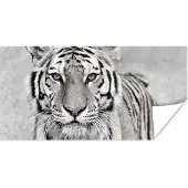 PosterMonkey Poster Tijger - Natuur - Zwart - Wit - 160x80 cm
