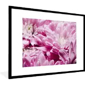 PosterMonkey Fotolijst incl. Poster - Bloemen - Roze - Natuur - 80x60 cm - Posterlijst