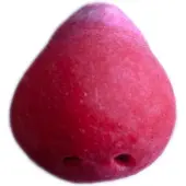 Grimas Latex neus clown Grimas (rood)