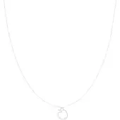 Oozoo Jewellery - Zilverkleurige ketting met een appel - SN-2042