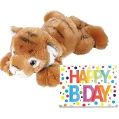 Ravensden Verjaardag cadeau tijger 25 cm met XL Happy Birthday wenskaart - Knuffeldier