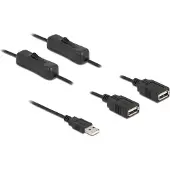 DeLOCK kabel, USB Type-A stekker naar 2 x USB Type-A poorten met schakelaar, 1 meter