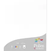 Pollen Papier