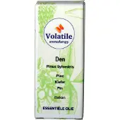 Volatile Den pinus sylvestrus