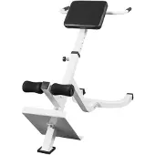 Gorilla Sports Hyperextensie Bank (roman chair)