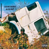 Ici D Ailleurs Gontard - Akene (CD)